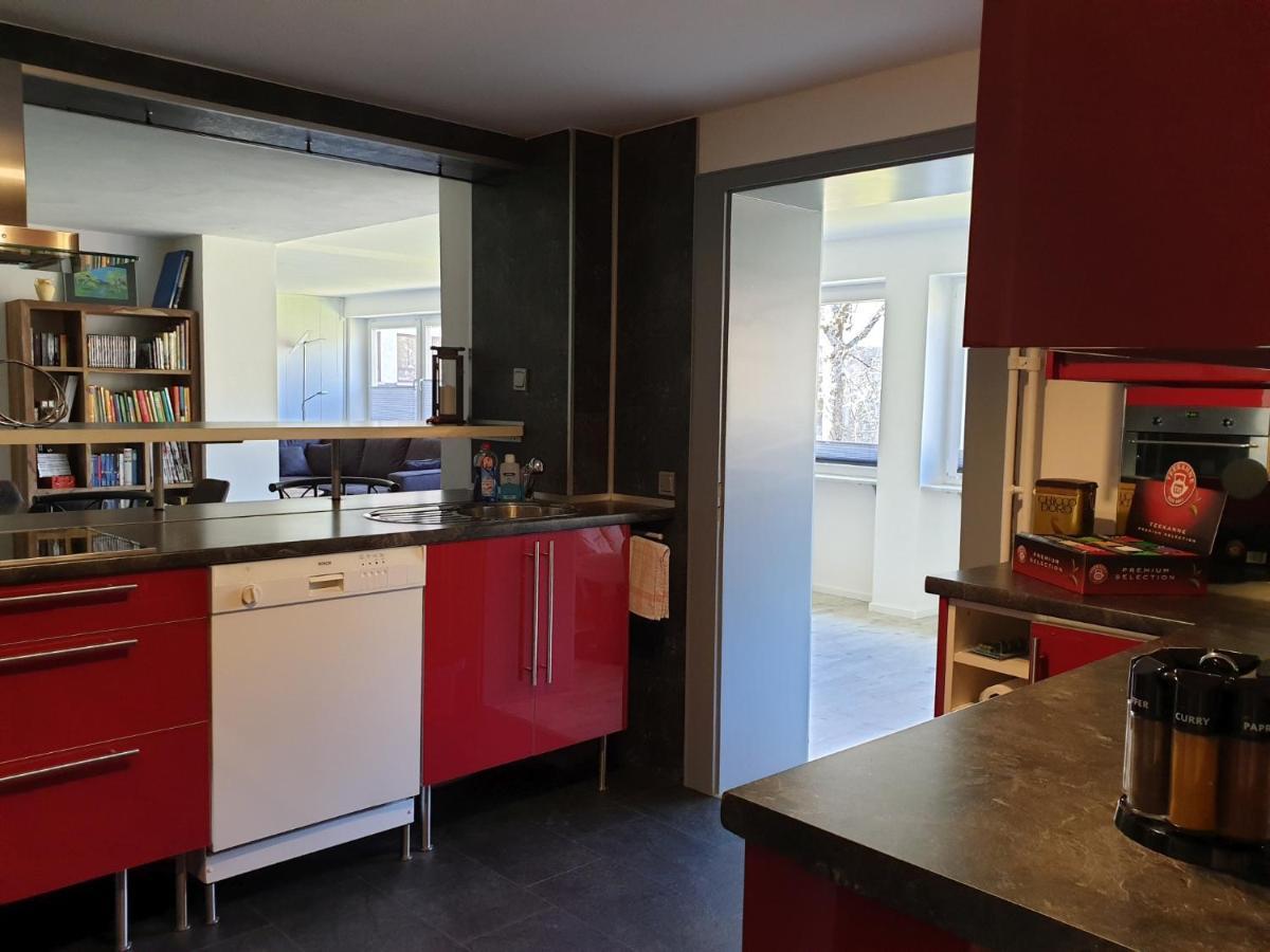 Kurpark-Suite Schonach im Schwarzwald Екстер'єр фото